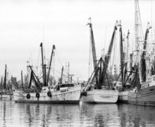 old fishing boats